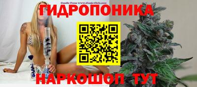 2c-b Славгород