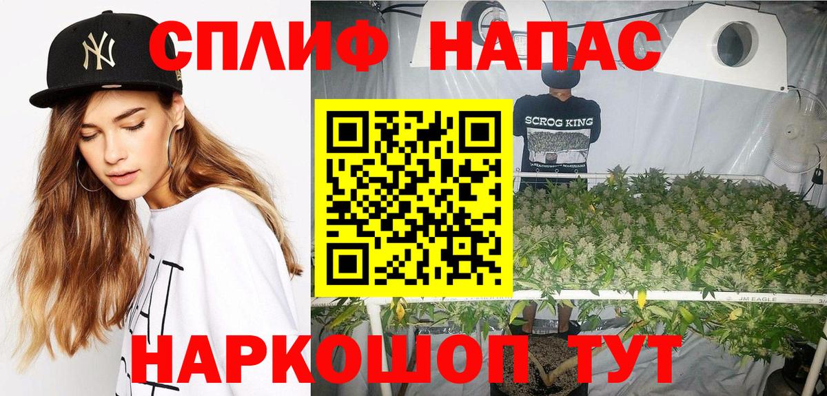 Бошки марихуана SATIVA & INDICA Ахтубинск